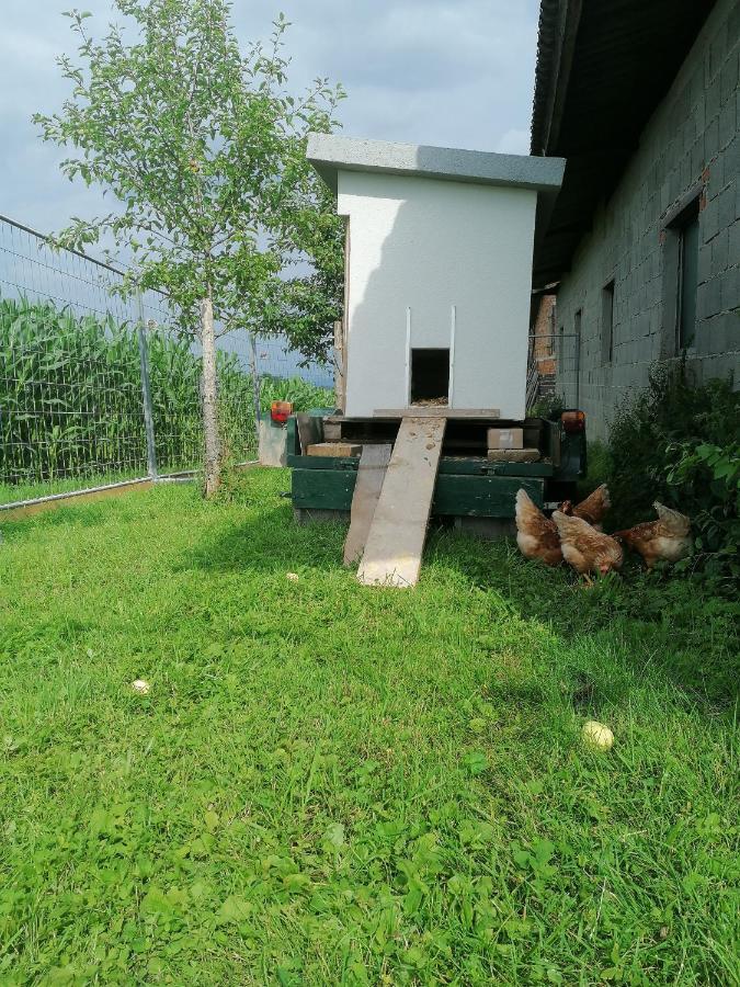 Grafhaidergut - Auszeit Am Land Wartberg an der Krems Extérieur photo